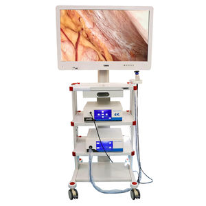 Tour d'endoscopie Shrek, unité complète de laparoscopie médicale, caméra d'endoscopie 4K avec moniteur endoscopique 4K, tour laparoscopique - Product Image 1