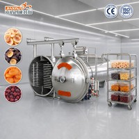 Machine de lyophilisation sous vide de qualité alimentaire certifiée CE pour fruits, pêches, prunes, abricots et cerises