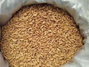 Tranches d'ail séchées du Vietnam flocons d'or épices déshydratées en gros pour assaisonnement international mélanges soupes sauces - Product Image 6