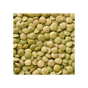 Meilleur prix lentilles vertes entières australiennes sèches de qualité biologique un stock en vrac de 25kg disponible avec emballage personnalisé - Product Image 5