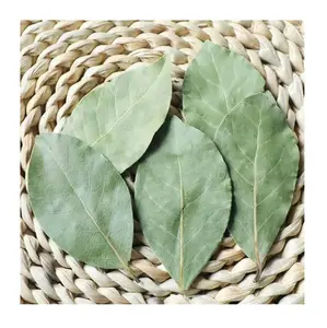 top selling export quality dried bay leaves bay leafs bay leaves