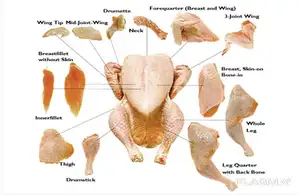 ブラジル鶏肉メーカー-大量冷凍鶏肉サプライヤー