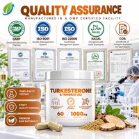 Capsules de Turkesterone et Tongkat Ali en marque privée, 1000 mg, complément alimentaire sportif, OEM ODM, 60 capsules végétaliennes