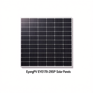 Panneau solaire EyongPV EYE170-29SP - Product Image 2
