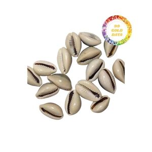 ผู้จัดจำหน่ายเปลือกหอยที่นำเสนอของตกแต่งในราคาที่ดีที่สุดจาก99ข้อมูลทอง - Product Image 4