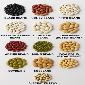 Frijoles Negros Pequeños/Grandes de Calidad de Exportación |   100% Puro, Limpio, de Primera Calidad, Orgánico, Ligero, con Puntos, Almacenado en Seco, 24 Días de Duración - Product Image 1