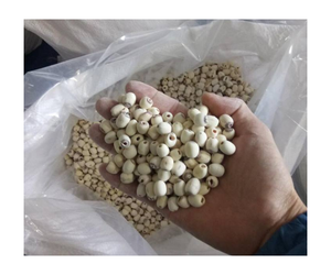 Graines de lotus du Vietnam, en-cas prêts à manger, sucrées et croustillantes/ 100% naturelles/ Graines de lotus au fromage séchées croustillantes/ EN Vrac - Product Image 1