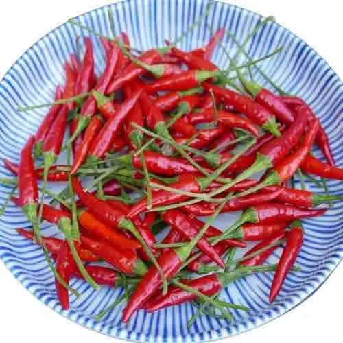 Best Quality Whole Chili Peppers Supplier In India, Canada and USA