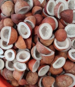 100% Natural Premium Copra Exportación a granel de coco seco para uso comestible y extracción de aceite El MEJOR PRECIO DE LA India - Product Image 1