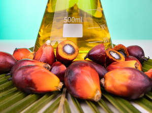 Aceite de Palma RBD, Precio de Fábrica, Venta al por Mayor, Precio al por Mayor, Aceite de Palma Rojo 100% Puro, Natural y Orgánico - Product Image 5