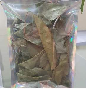 Hojas de Guanábana de alta calidad: económicas - Product Image 4