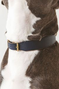 Le tailleur personnalisable en cuir durable du collier de luxe de Divine International pour la tradition de style classique de luxe rencontre le plaisir de remuer! - Product Image 5