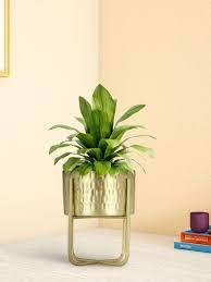 Nouvelle arrivée Antique Flower Planter Pot de jardinage Home Decor prix de gros de l'Inde - Product Image 3