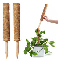 Bâtons en mousse pour plantes grimpantes, piquet de plantes de jardin d'intérieur, totem en fibre de coco de différentes tailles