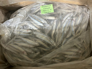 Anchoas Azules Enteras Congeladas envasadas al Vacío a Granel para el Mercado de Exportación Global, 24 Meses de Duración, Pescado de Vietnam - Product Image 5