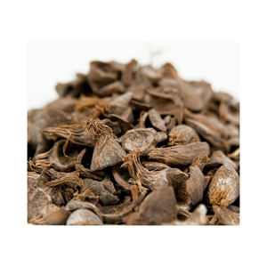 Produits agricoles à base de charbon de bois 100% Purity Palm Kernel Shell (PKS) et Palm Kernel Shell - Product Image 1