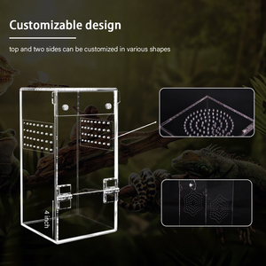Vente en gros ODM&OEM – Boîte d'élevage classique intégrée en acrylique massif pour reptiles, araignées et insectes sauteurs – Étanche et écologique - Product Image 4