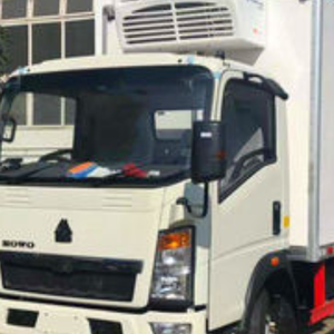 Camion réfrigéré pour stocker et transporter les produits thermosensibles - Product Image 3