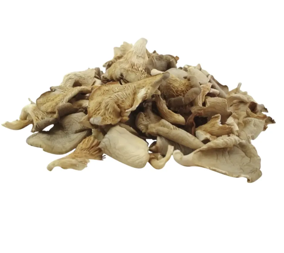 WHOLESALE PRICE OYSTER MUSHROOM AIR DRIED MUSHROOM HIGHEST QUALITY LOWEST PRICE FOR WHOLESALE