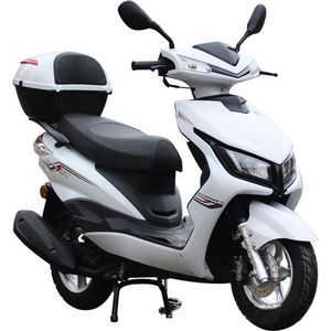 PRIMERA CLASE 100% 200 200cc cuatro tiempos - Product Image 3