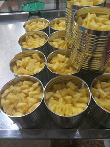 Piña Enlatada de Vietnam, Rodajas de Piña Uniformes, Venta al por Mayor a Granel, Fabricante Confiable para Mercados de Alimentos - Product Image 2