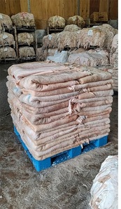 بيع بالجملة رخيصة الثمن جفاف ورطب جلد بقر /جلود /جلود حيوانات ماشية | جلد بقر مقسوم جلد الجاموس - Product Image 6
