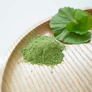 ผงเพนนีเวิร์ตธรรมชาติ สำหรับ OEM แบรนด์ส่วนตัว ขายปลีก และจำหน่ายแบบขายส่ง - Product Image 2