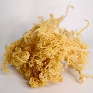 Vente en gros d'algues eucheuma cottonii séchées de meilleur choix de mousse de mer biologique crue des meilleurs fournisseurs - Product Image 5