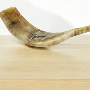 Cuerno de carnero natural, acento decorativo, cuerno de shofar pulido hecho a mano para decoración del hogar y coleccionistas - Product Image 3