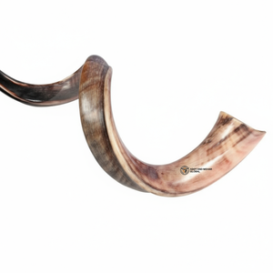 Cuerno de Shofar Natural de Carnero, Artesanía Hecha a Mano, Diseño Art Deco Ecológico, Acabado Pulido Suave Decorativo para Hogar y Oficina - Product Image 3