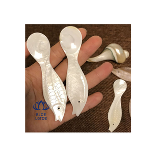 Cuchara de conchas de mar, cuchara de caviar, el mejor precio de Vietnam para la exportación - Product Image 1