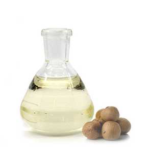 Usine de fabricant en gros d'huile de support de noix de Kukui 100% huile de support de noix de Kukui de qualité supérieure pure et naturelle d'Inde - Product Image 1