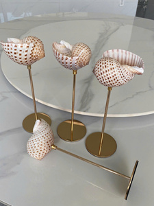 Turbo Seashell Glass Cup Producto hecho a mano de calidad premium Durable y elegante Adecuado para hogares Restaurantes - Product Image 2