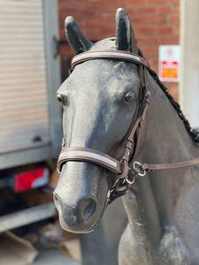 Brida de cuero de cristal sin punta cruzada con liquidación de cristal FABRICANTE de brida de caballo de cuero genuino de alta calidad - Product Image 3