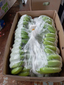 PREMIUM <b>FRESH</b> CAVENDISH <b>BANANA</b> - Product Image 5