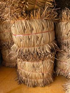 Materia prima natural de precio barato de Vietnam-Jacinto de agua seca para hacer artesanías-Grandes cantidades para exportación - Product Image 5