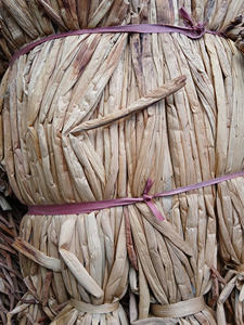 Vietnam Raw <b>Water</b> Hyacinth for Decoration, <b>Bulk</b> Supply, Natural, High Quality, Export-Ready/Eco-Friendly Raw <b>Water</b> Hyacinth - Product Image 6