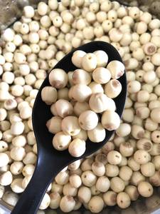 Noix de lotus séchées à bas prix pour l'exportation en vrac du fournisseur vietnamien - Product Image 3