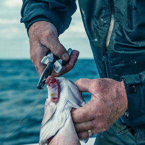 Alicates de pesca de anillo dividido, alicates de corte personalizados de acero inoxidable, Caja multifuncional, alicates de pesca conjuntos, herramientas - Product Image 2