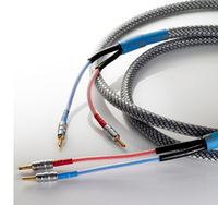 Hochwertiges 24K Vergoldetes Geflochtenes Abgeschirmtes Koaxial-Hifi-Audiokabel Geräuscharm für Computermonitor DVD-Player Projektor