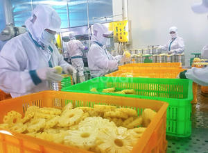 สับปะรดกระป๋องในน้ำเชื่อมส่งตรงจากโรงงานเวียดนาม/ชิ้นสับปะรดราชินี/ผลไม้แช่แข็งตามธรรมชาติ/พร้อมส่งออก - Product Image 6