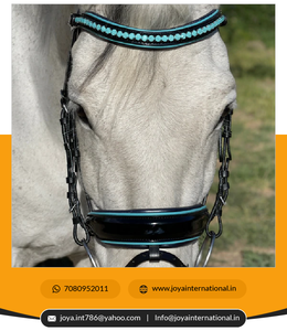 Édition limitée Fidji Black Patent Snaffle Bridle Produit de cheval plié de bonne qualité - Product Image 2