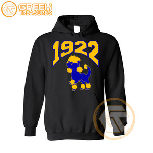 Sigma Gamma Rho personnalisé sweat à capuche brodé en molleton de coton sororité pull de haute qualité vêtements grecs sweats à capuche pour femmes - Product Image 5