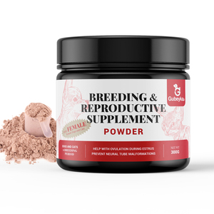 OEM, собаки и кошки, необходимые для поддержки спермы, добавки для фертильности, клинически изученные ботанические ингредиенты, приближаются к фертильности - Product Image 2