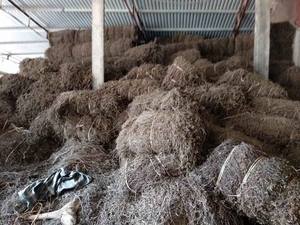 Hojas de gelatina de hierba de calidad superior a precio asequible exportación a granel - Product Image 4