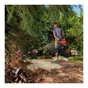 Aspirateur à feuilles sans fil 36V avec souffleur BCBLV3625L1, outil de jardin manuel, batterie unique 2,5Ah - Product Image 2