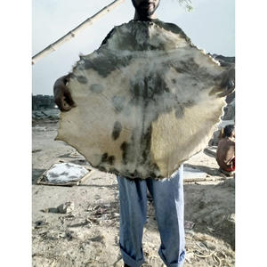 100% คุณภาพสูงหัวกลองหนังควายดั้งเดิมคุณภาพสูงจำนวนเครื่องดนตรี & อุปกรณ์เสริม - Product Image 2