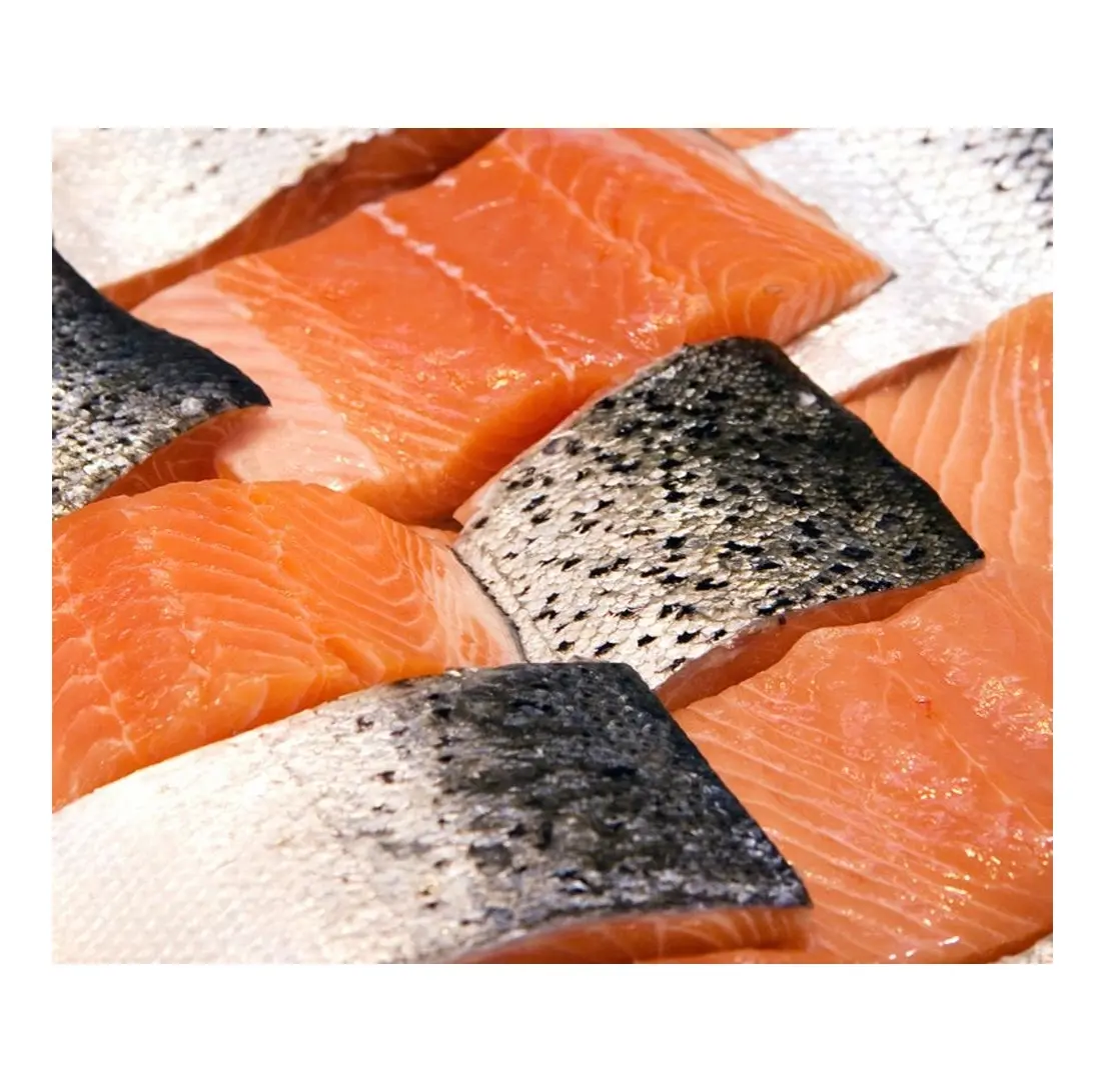 frozen wild salmon | frozen salmon fish fillets,high quality froze chum salmon fillet