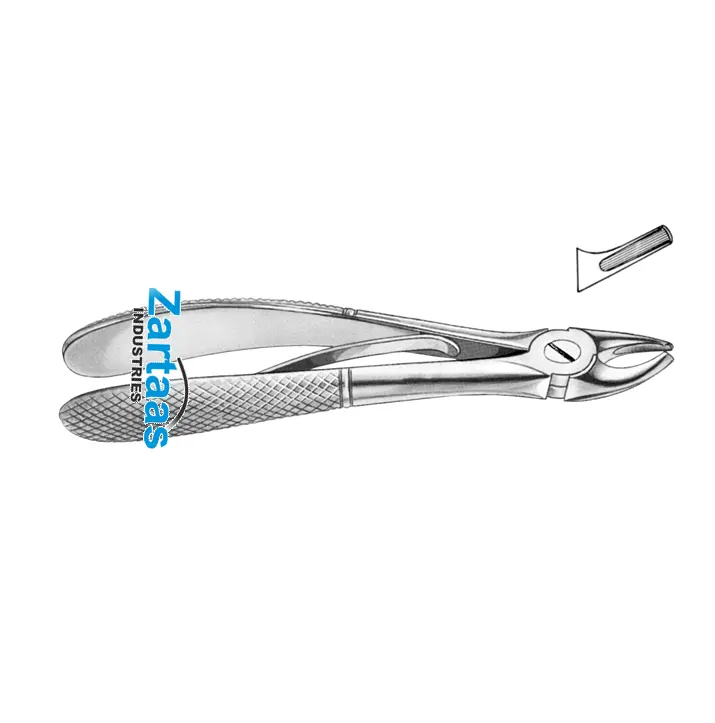 2024 High Quality Stainless Steel Surgical Dental Tooth Extraction Children Forceps Witzel Fig 2