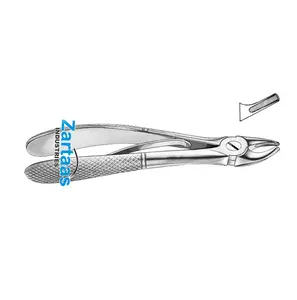 Fórceps para niños de extracción de dientes dentales quirúrgicos de acero inoxidable de alta calidad 2024 Witzel Fig 2